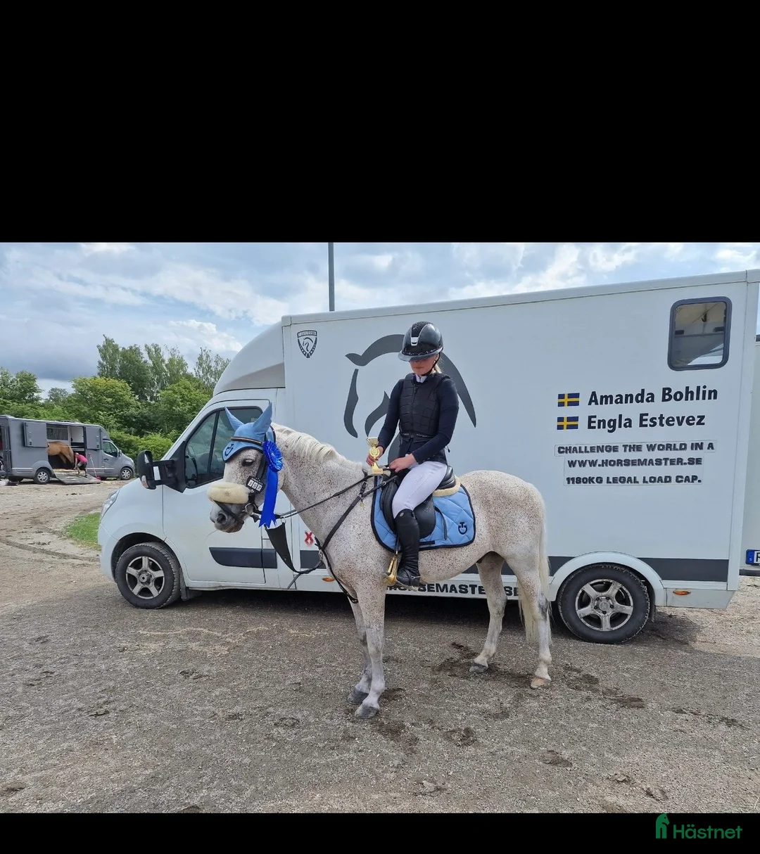 Dressyr hästar till salu: Superfin C ponny  - Annons 1