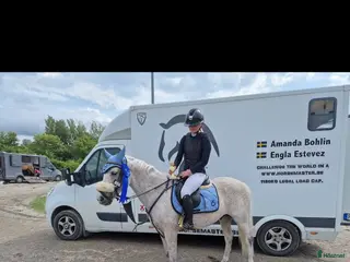 hästar Superfin C ponny - Annons 7