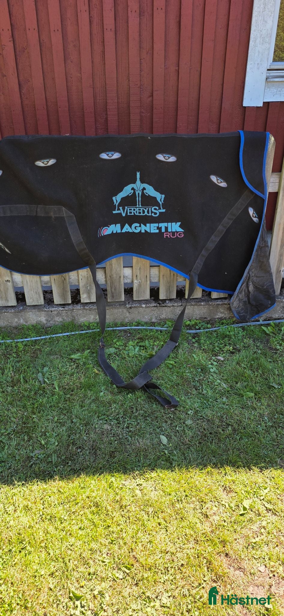 Täcken hästutrustning Veredus Magnettäcke  - Annons 11
