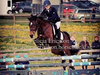 hästar Kolla film! Hingstämne? - Annons 11