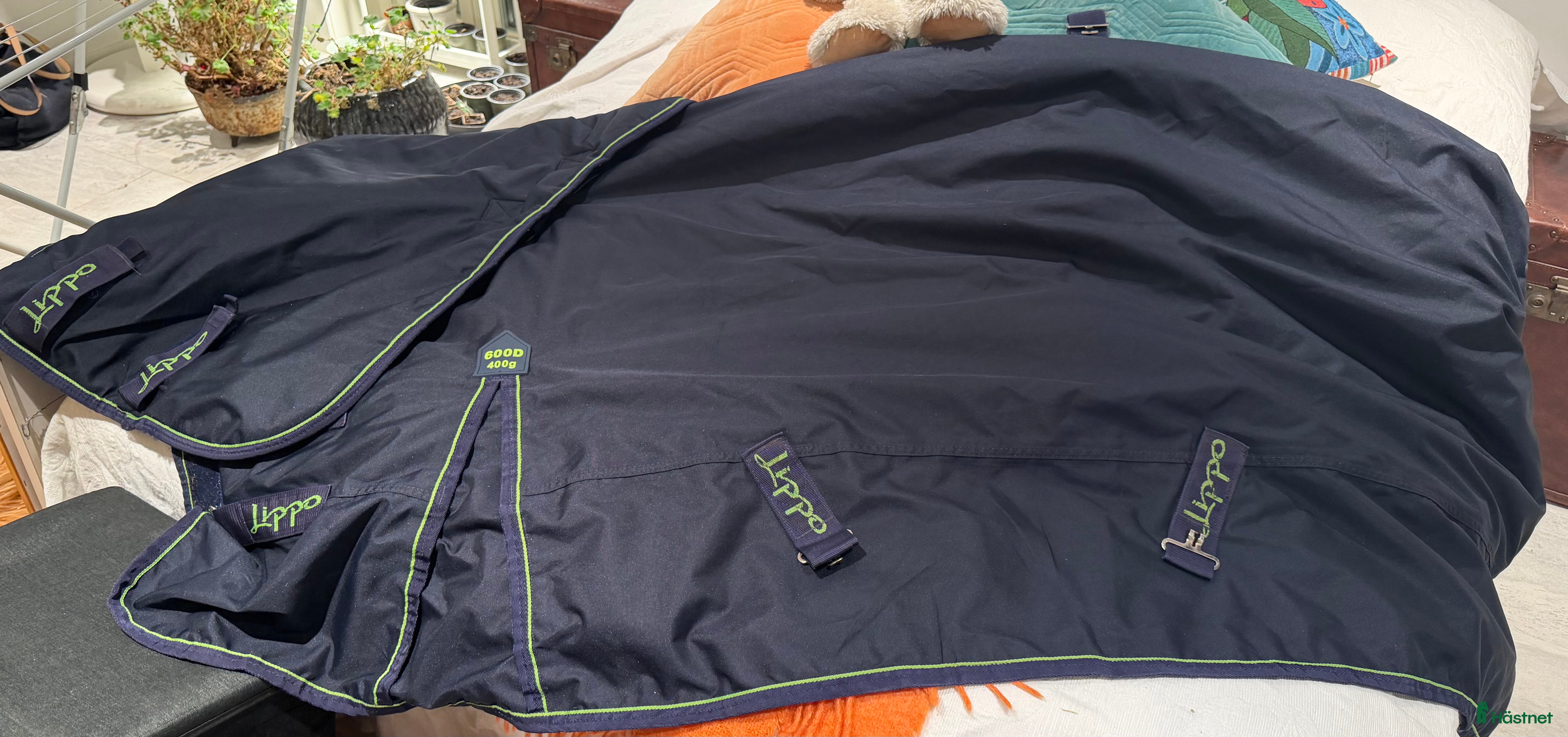Täcken hästutrustning Lippo utetäcke 400 g, 135 cm - Annons 16