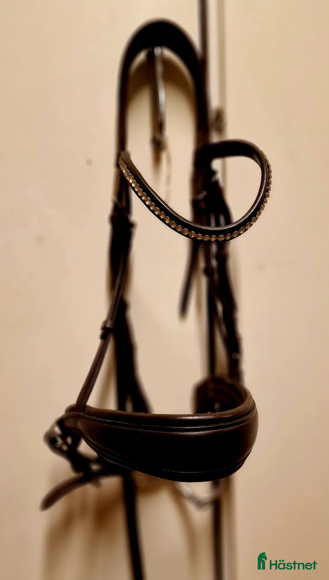 Övrig Hästutrustning hästutrustning till salu: Blanda utrustning i fint skick i Norrköping - Annons 6