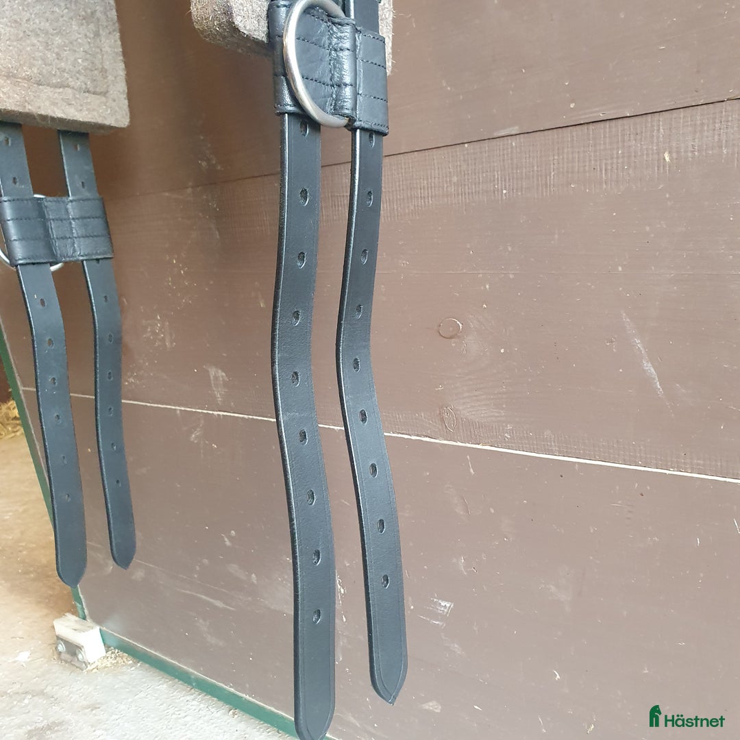 Övrig Hästutrustning hästutrustning till salu: Tömkörningsgjord med båge storlek Full i Tranås - Annons 4