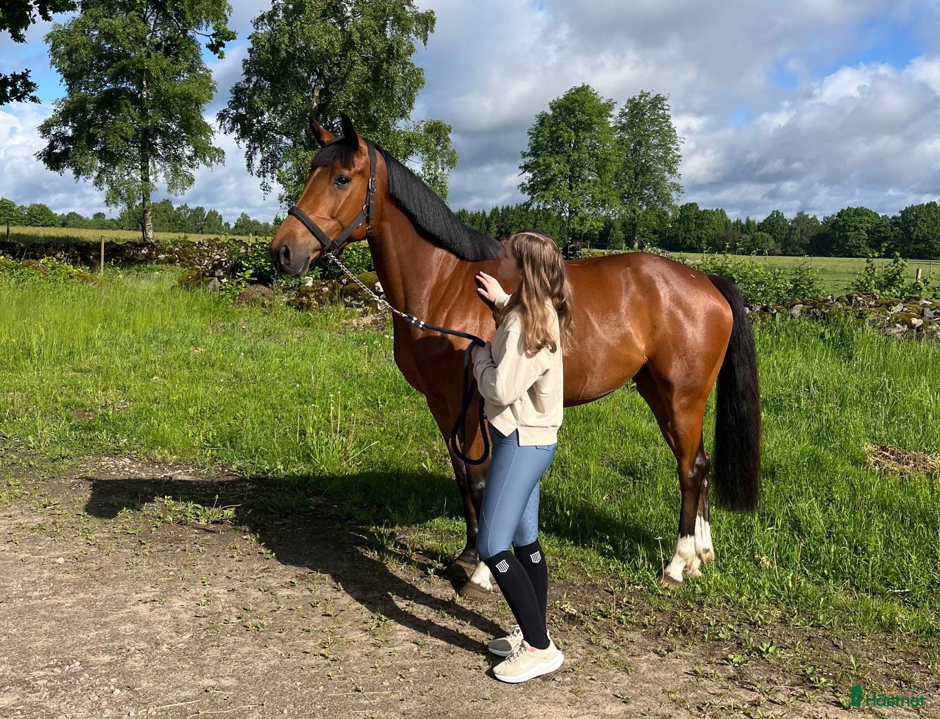  hästar En bästa vän - Annons 6