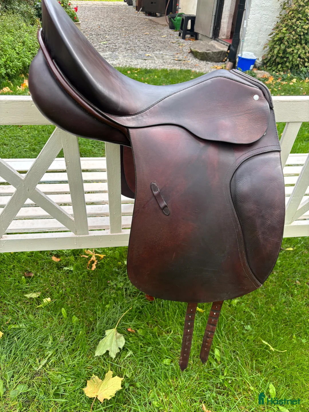 Sadlar hästutrustning till salu: Passier Optimum - Annons 1