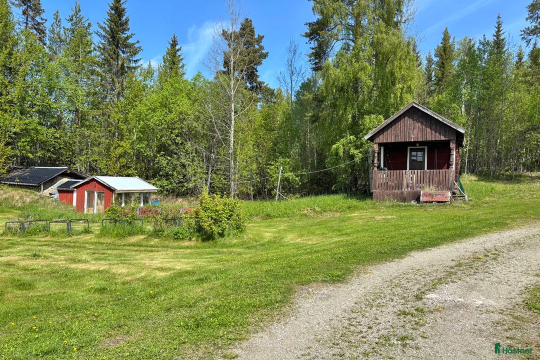  hästgårdar till salu: 15ha - Gård med strandtomt i Bräcke - Bild 6