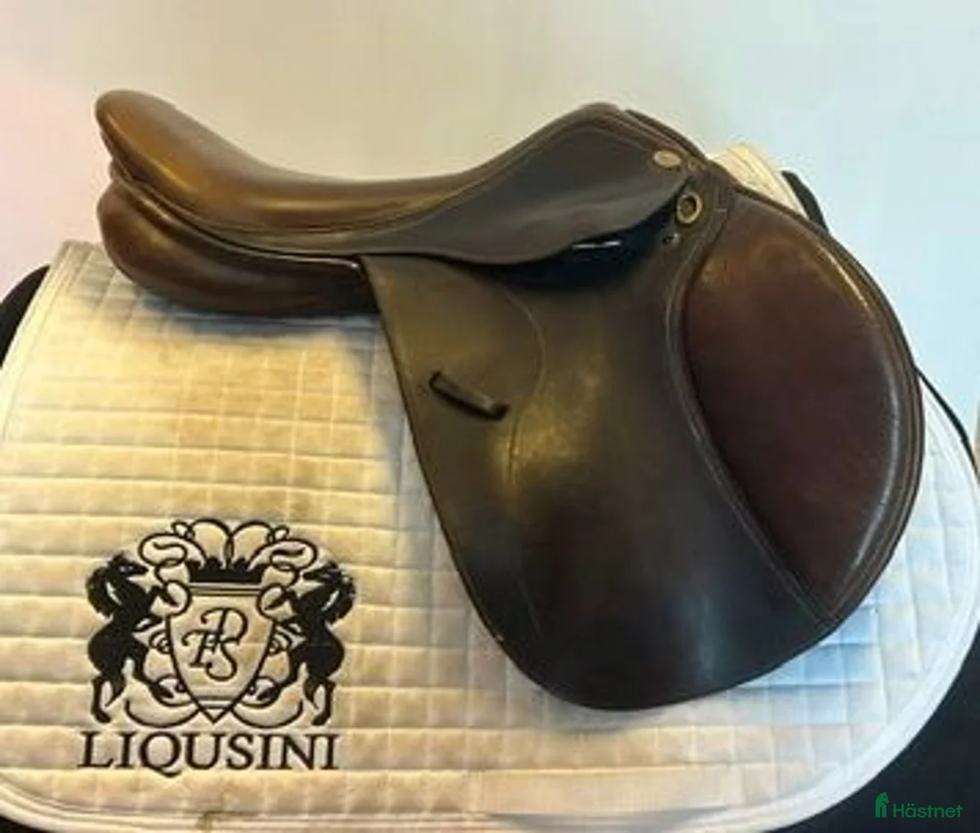 Sadlar hästutrustning till salu: Hoppsadel Lippo Fazzino 17" - Annons 1