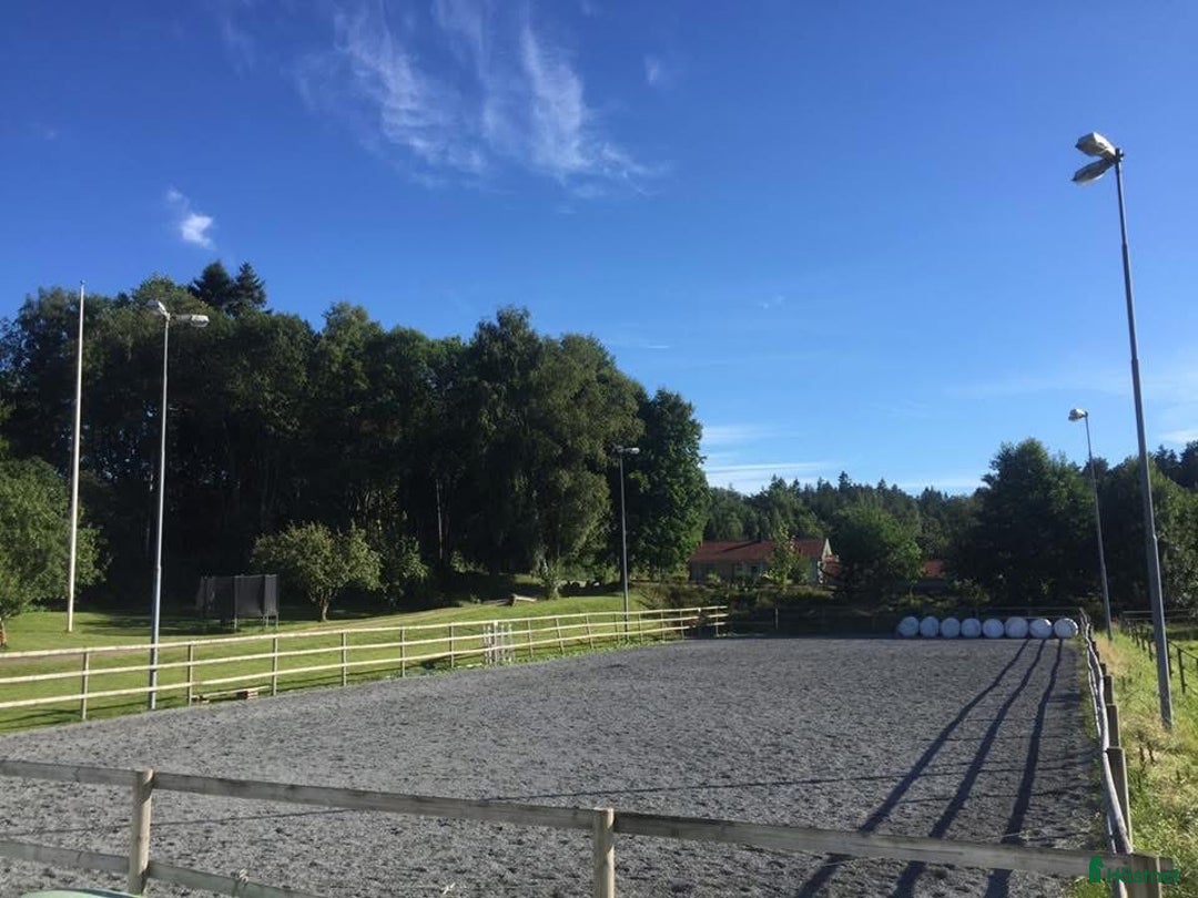  stallplats finnes: Lösdrift  i Rävlanda - Bild 5
