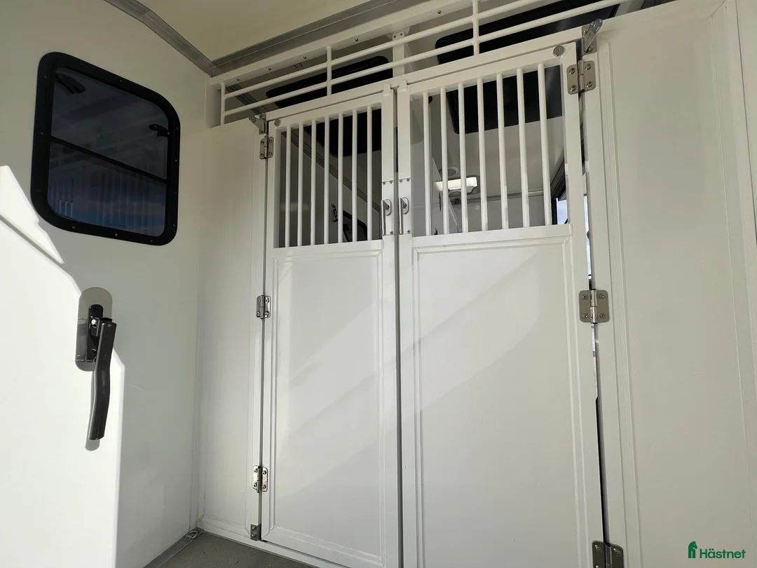 Hästlastbilar  fordon & transport till salu: PARAGAN EXCELSION 5XL STUTERI LÅG SKATT  - Annons 11