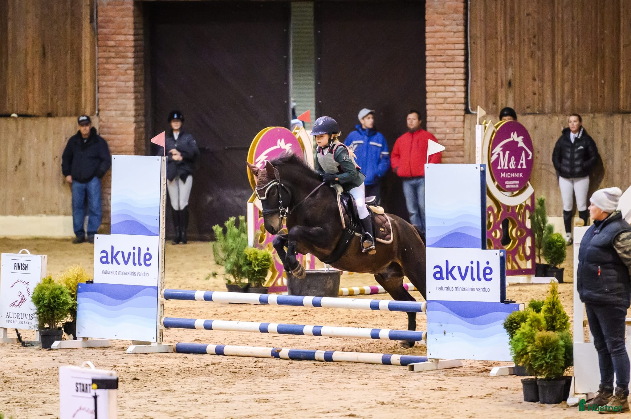  hästar Trevlig C-ponny  - Annons 18