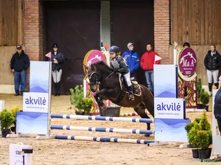 hästar Trevlig C-ponny - Annons 18