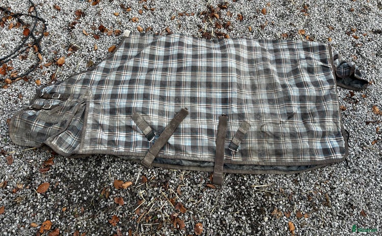 Täcken hästutrustning till salu i Höör - Annons 19