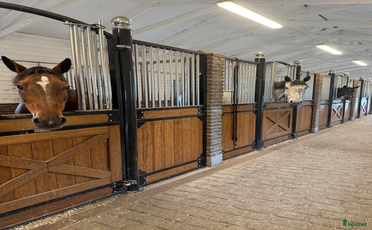 stallplats i Ekerö - Annons 15
