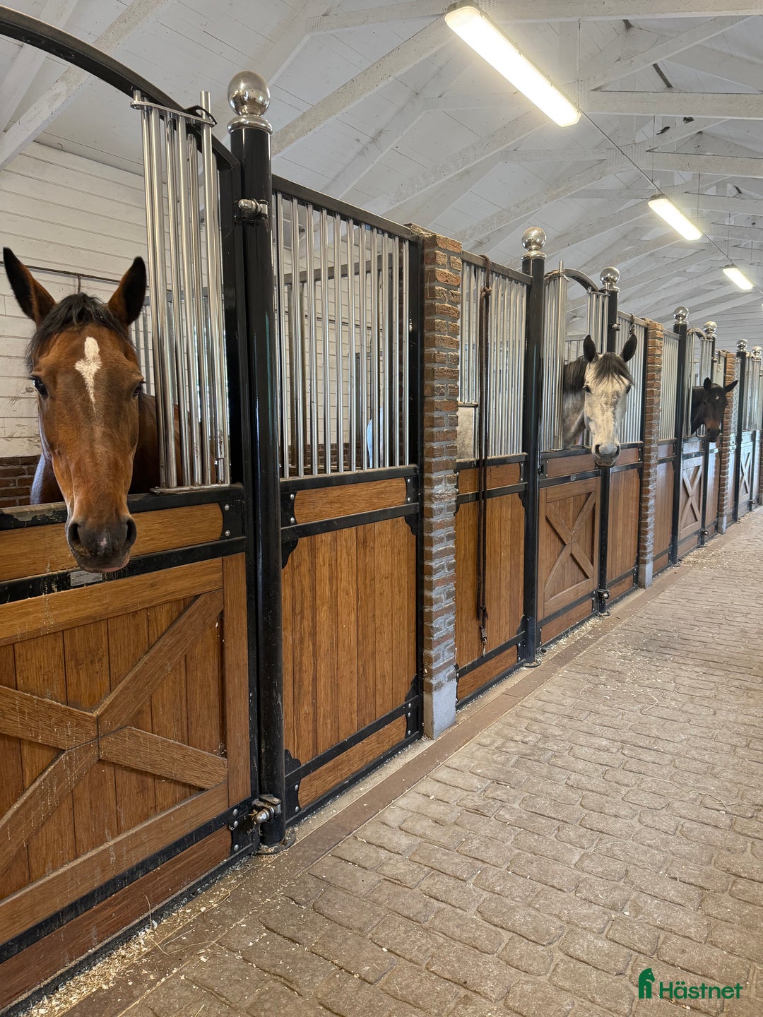  stallplats finnes: Stallplats på Ekerö! i Ekerö - Annons 1