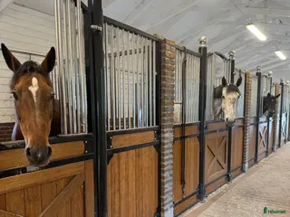 stallplats Stallplats på Ekerö! - Annons 9