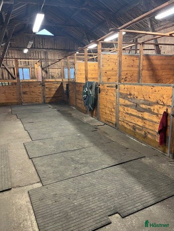 stallplats Stallplats i Säve i Säve - Annons 14