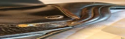 Sadlar hästutrustning till salu: Morris & Nolan dressyrsadel 16,5" bom 30 – Svart - Annons 7