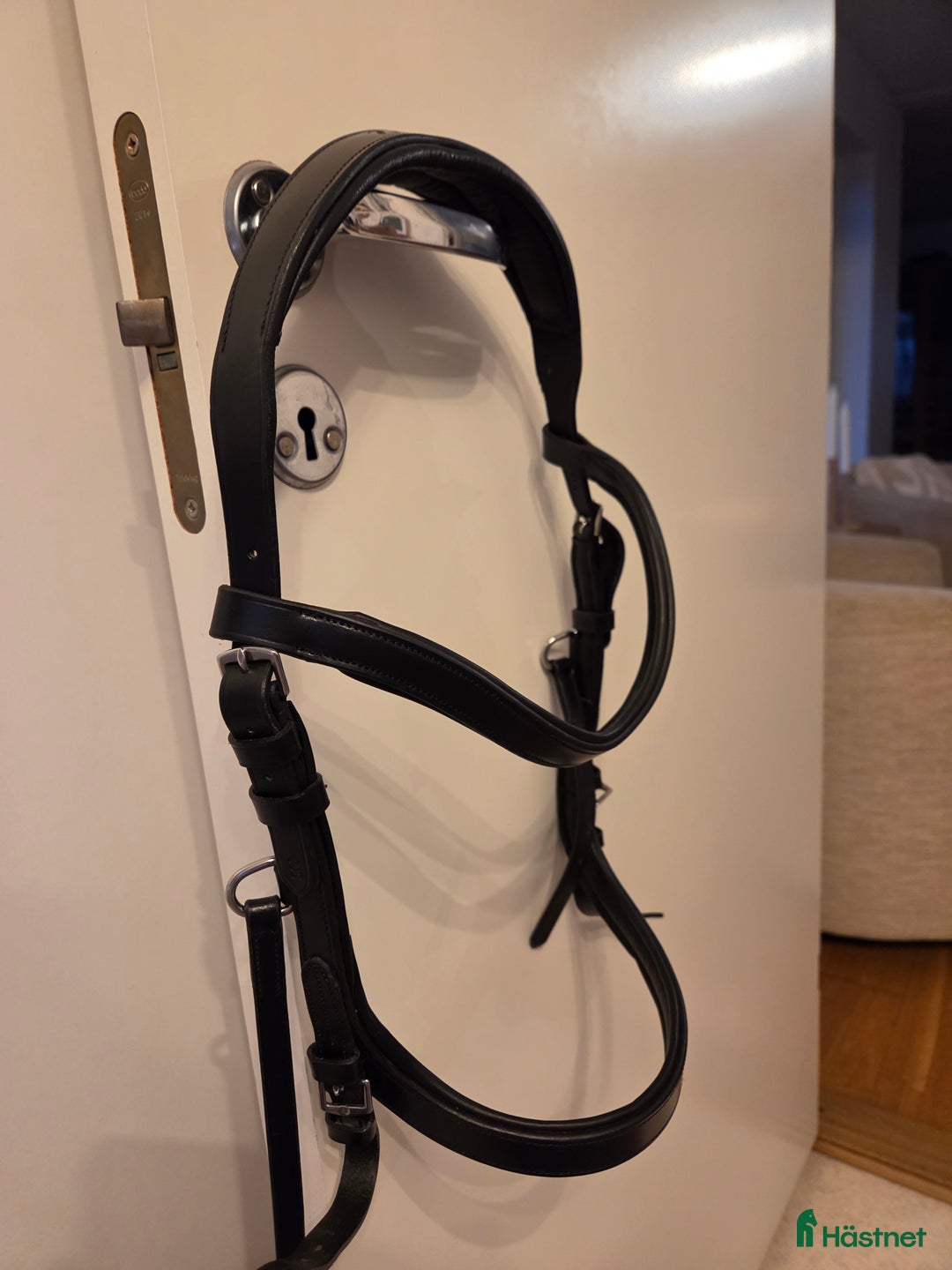 Träns hästutrustning till salu: Lingus Fairfield i Brösarp - Annons 3