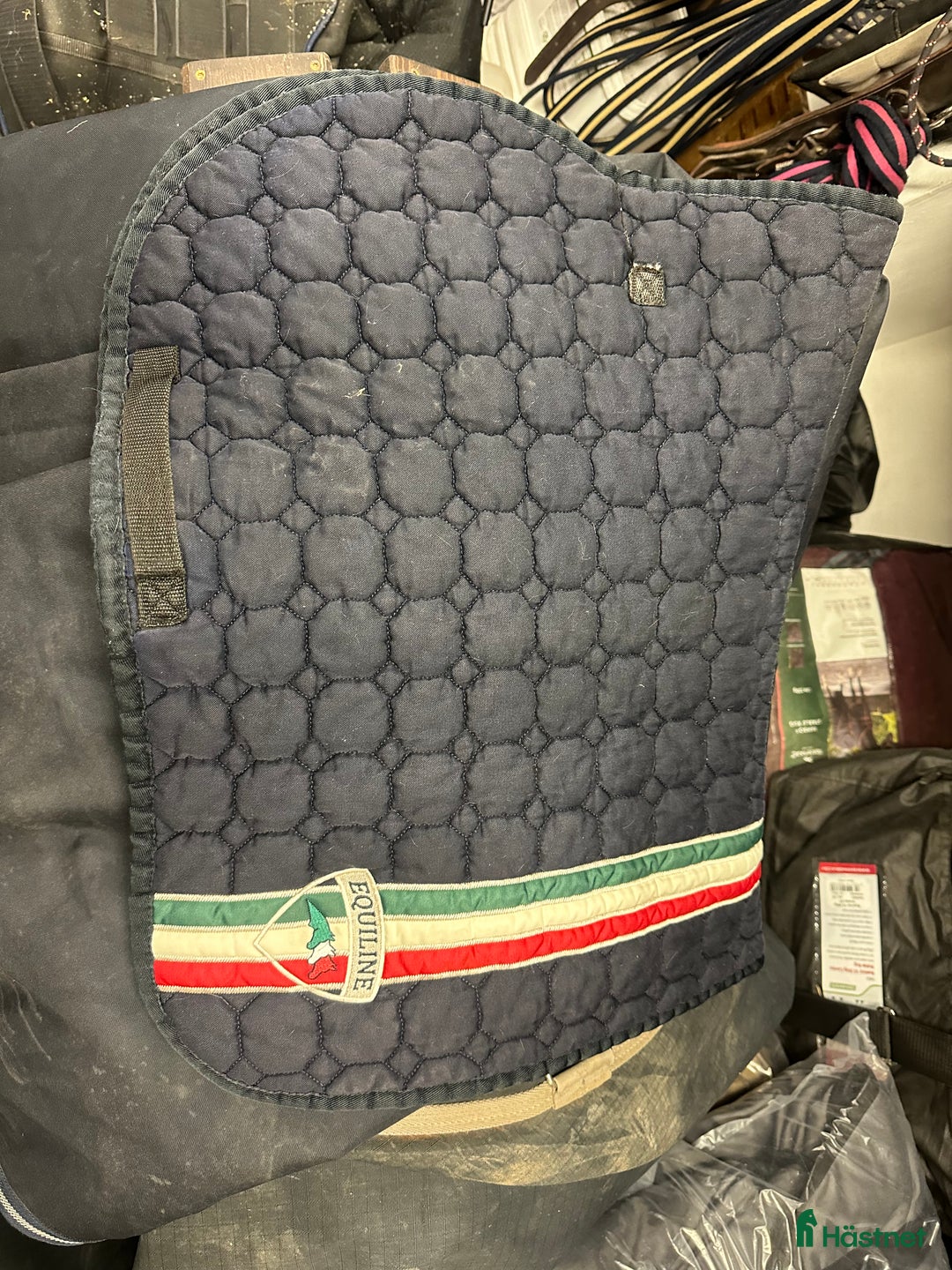 Schabrak & Vojlockar hästutrustning till salu: Equiline och Trolle schabrak säljes i Bollnäs - Annons 3