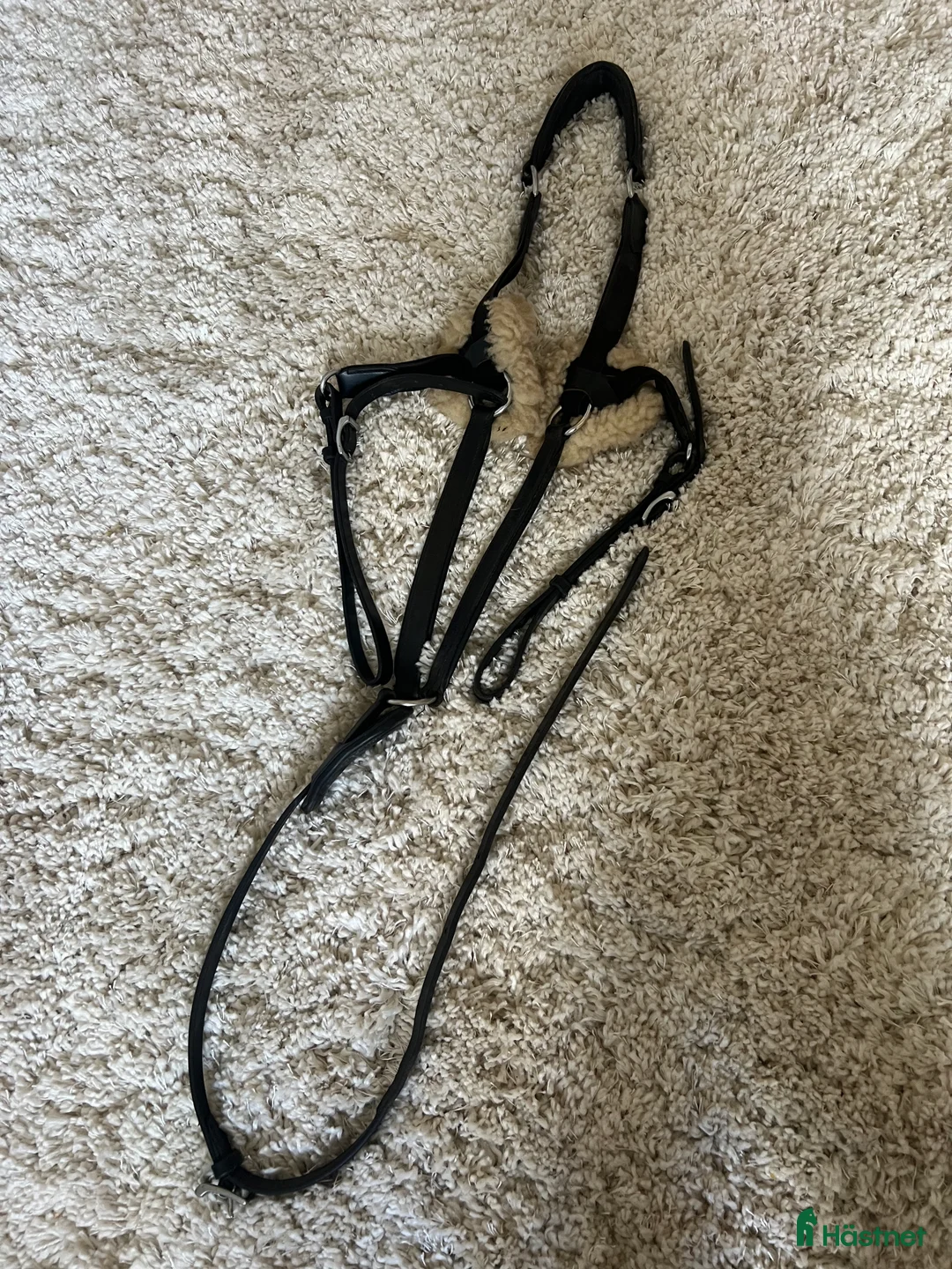 Sadeltillbehör hästutrustning till salu: Svart förbygel stl cob  i Falkenberg - Annons 2