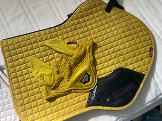 Schabrak & Vojlockar hästutrustning till salu: Lemiux i Älmhult - Annons 10