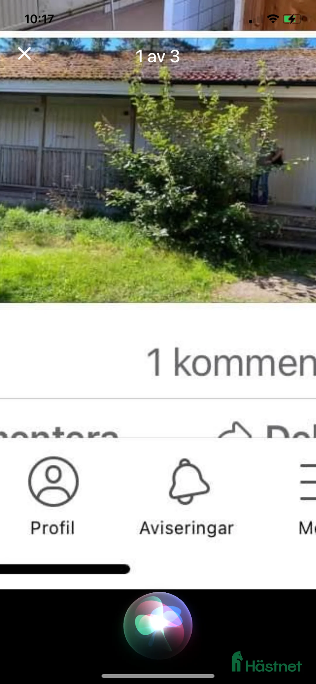  lägenhet till salu: Gårdslägenhet hästgård,lugnt fint,UTHYRES! i Järlåsa - Annons 6