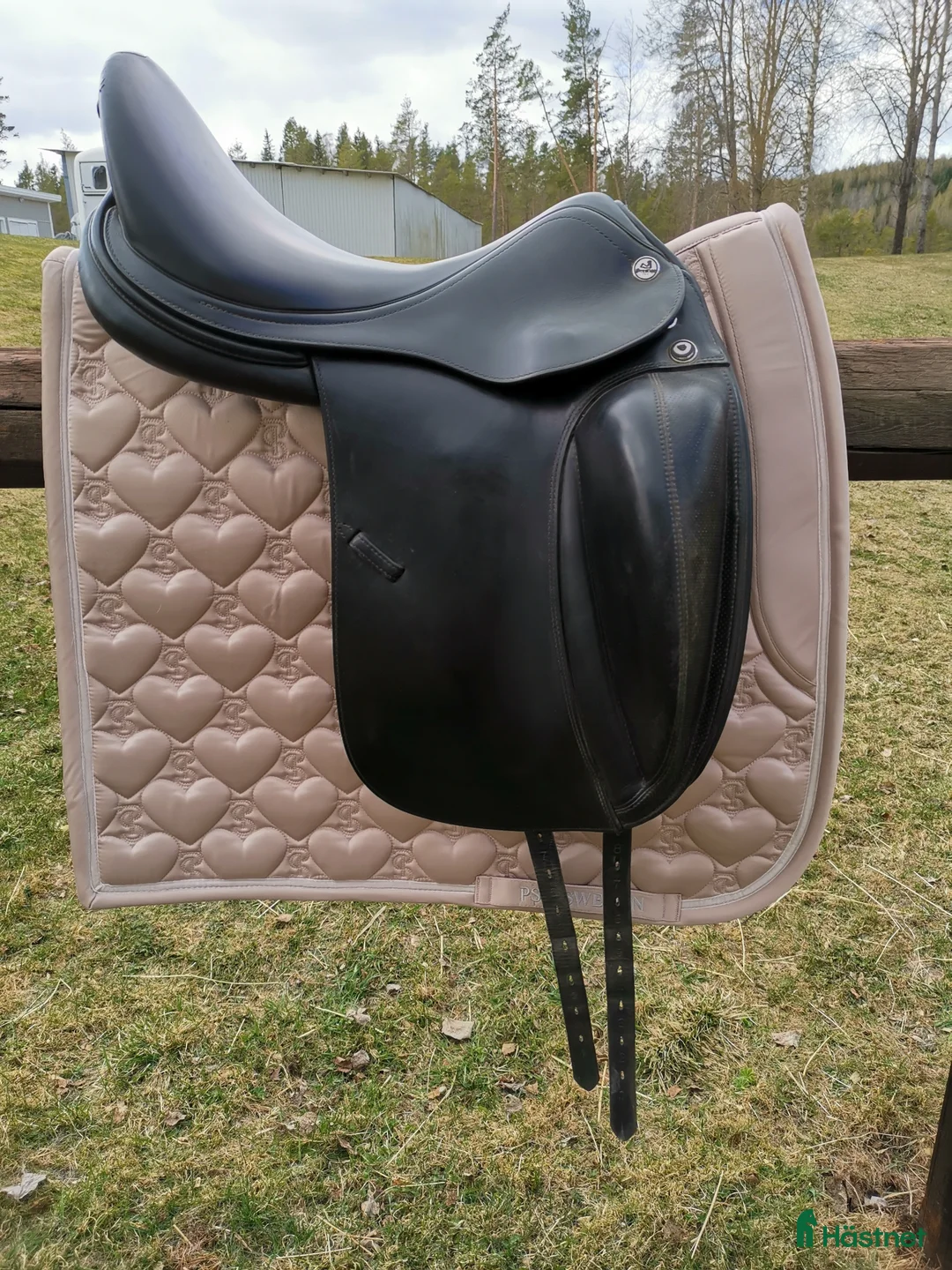 Sadlar hästutrustning till salu: Prestige  - Annons 2