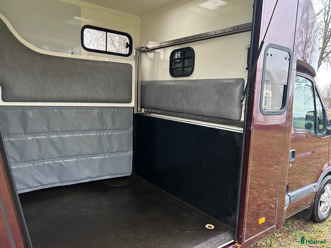 Hästlastbilar  fordon & transport till salu: Paragan 5 sits rejäl och robust  i Teckomatorp - Annons 6