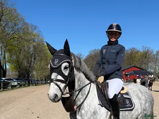Hoppning hästar till salu: Trevlig och pampig allroundponny! - Annons 2