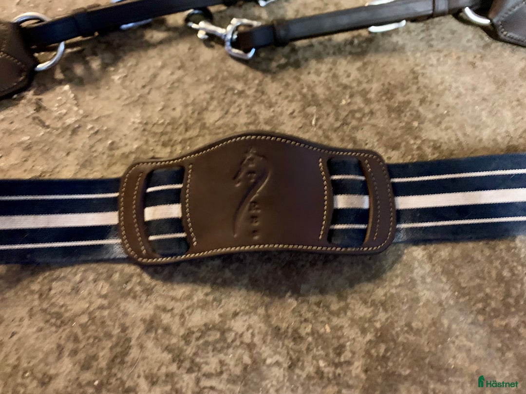 Sadeltillbehör hästutrustning till salu: Antarés brösta   i Falkenberg - Annons 2