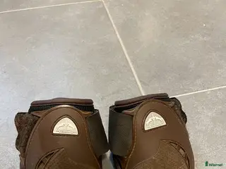 Benskydd hästutrustning Bakskydd i Göteborg - Annons 2