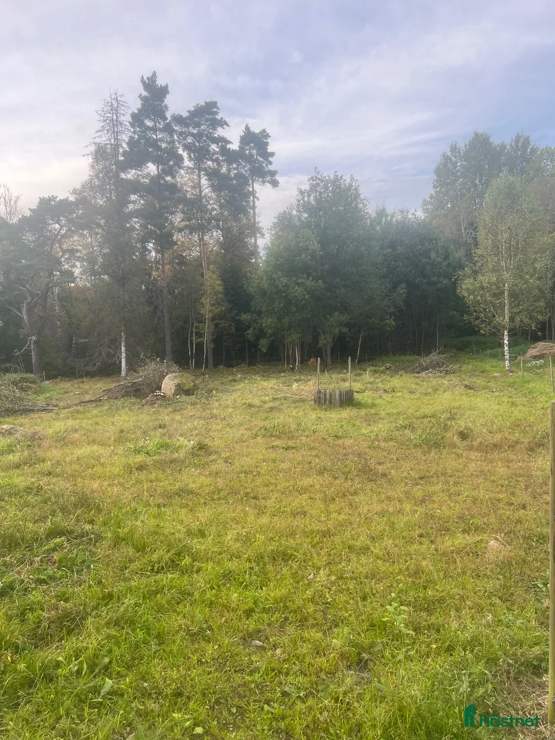  stallplats finnes: Ledig stallplats  - Annons 9