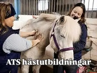 hästjobb RABATT Yrkesutbildning hästmassör/Friskvårdare - Annons 2