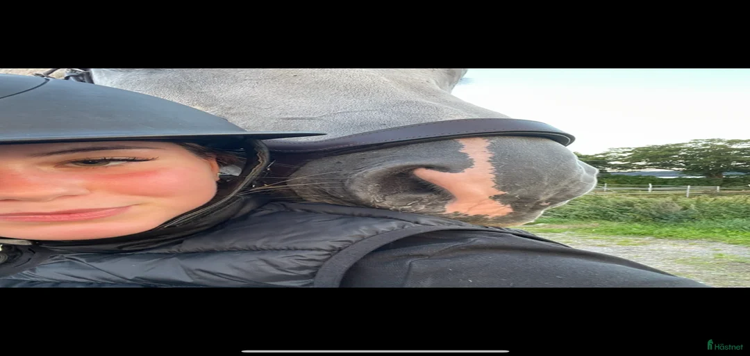 Galleribild {{count}}