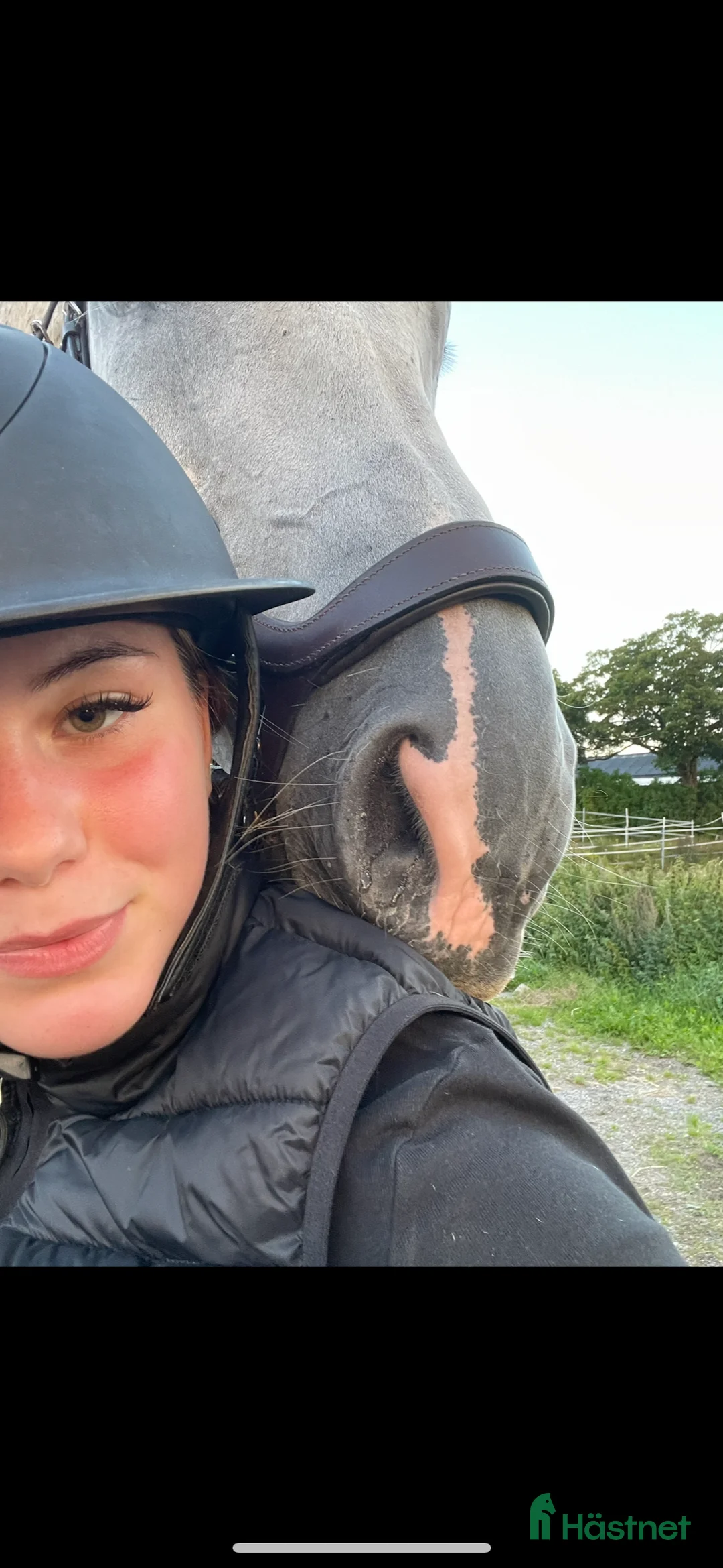 Galleribild {{count}}