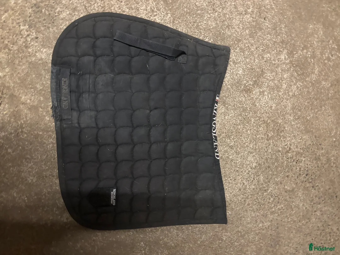 Schabrak & Vojlockar hästutrustning till salu: Kingsland schabrak  i Tomelilla - Annons 1