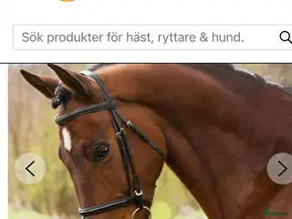 Träns hästutrustning Inspänningstygel rid el tömkörning (nya) - Annons 5