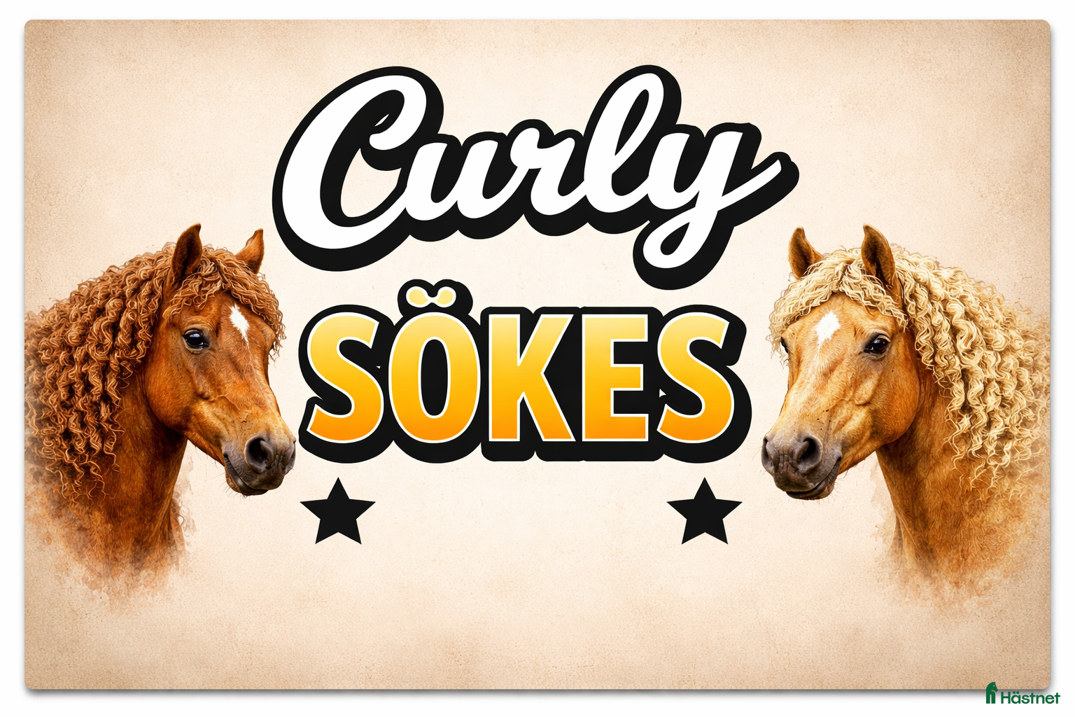  foderhäst Curly SÖKES  - Annons 4