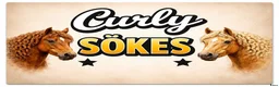  foderhäst sökes: Curly SÖKES  i Kil - Annons 1