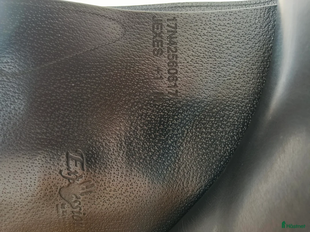 Sadlar hästutrustning till salu: EQUIPE EXPRESSION  - Annons 6