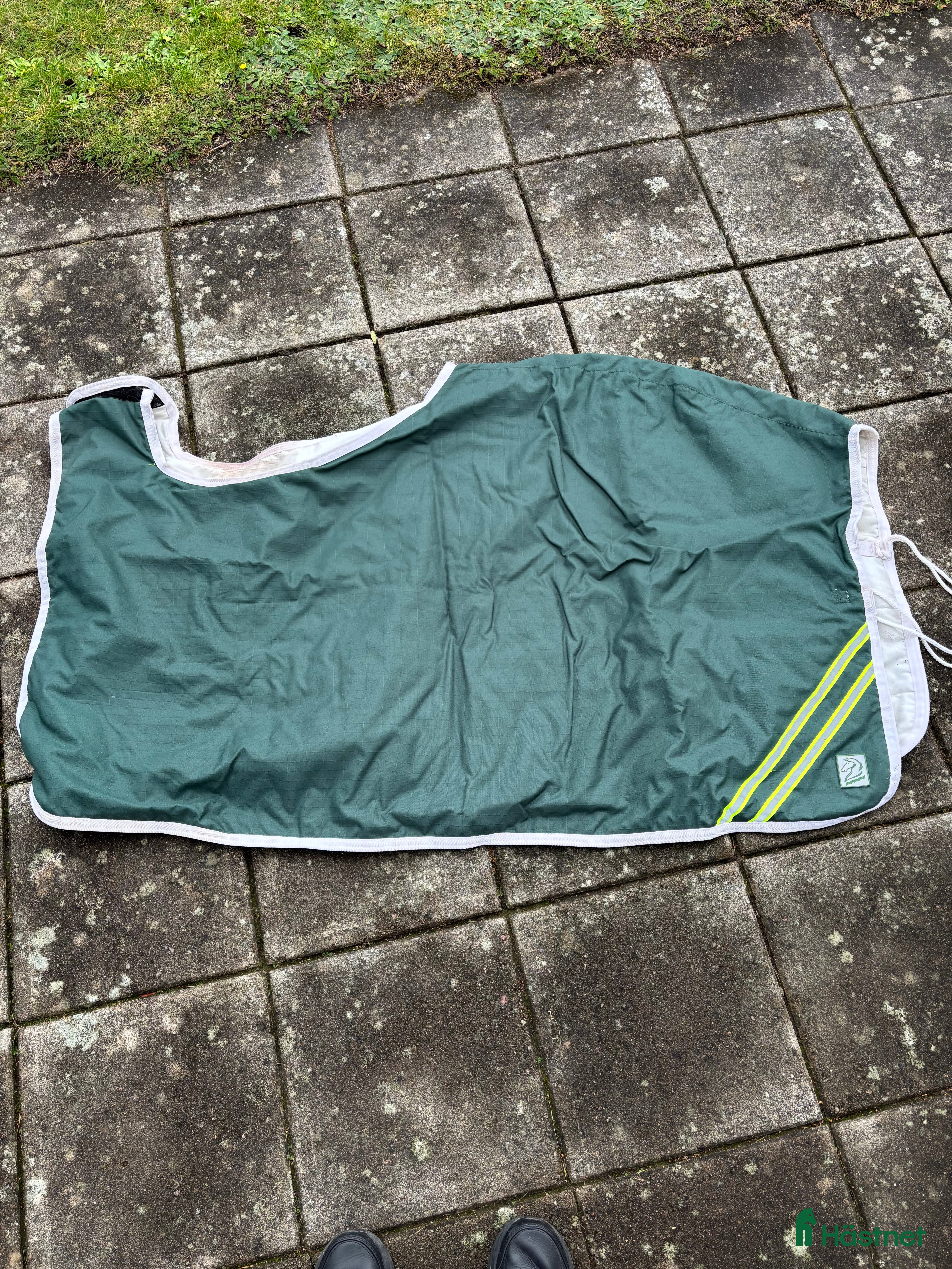 Övrig Hästutrustning hästutrustning till salu: Skrittäcke  i Linghem - Annons 6