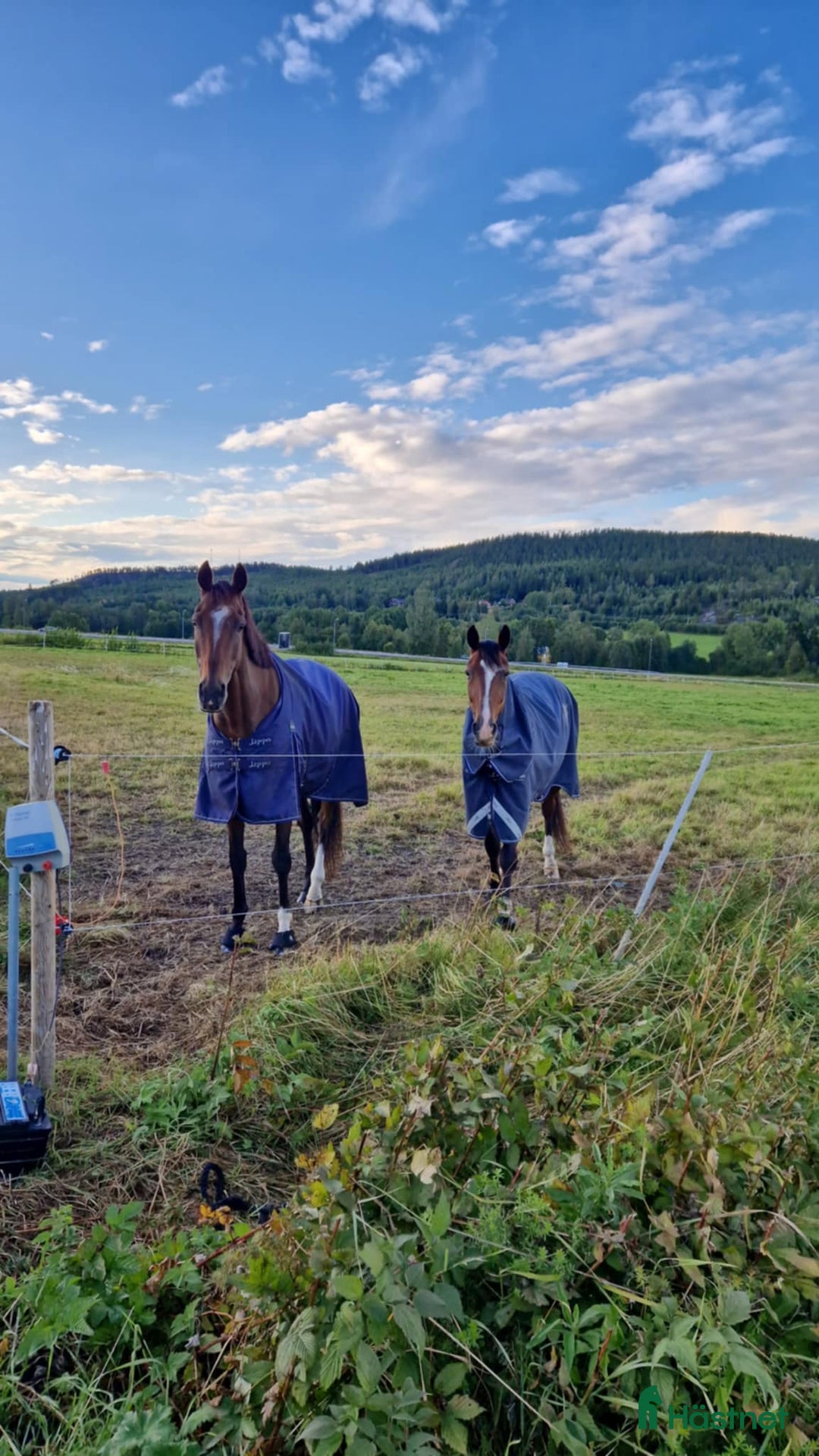  stallplats finnes: Stallplats nära stan finnes! i Härnösand - Annons 1