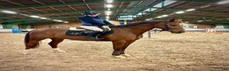 hästservice finnes: Ledig plats i hoppstall.  - Annons 3