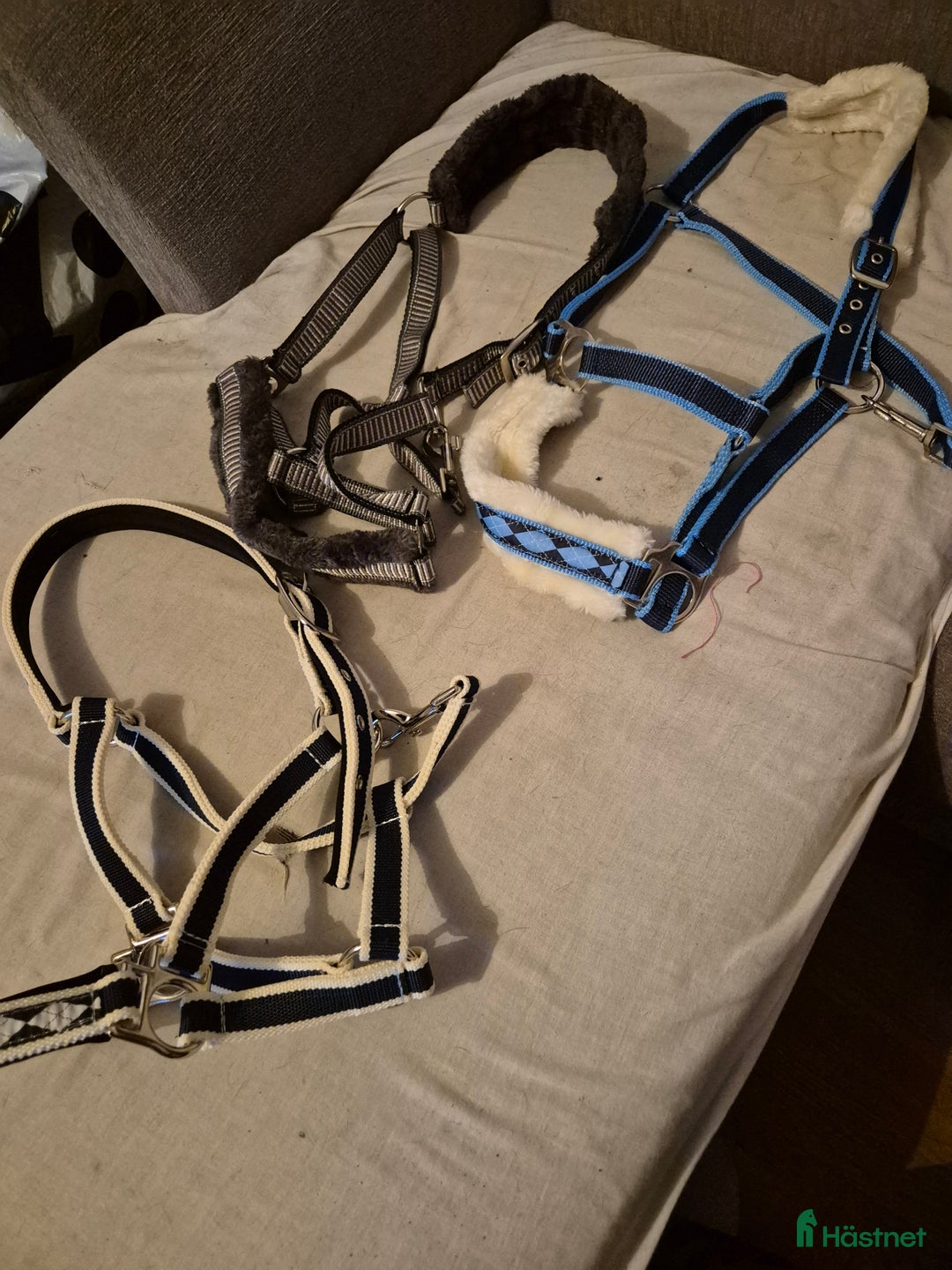 Övrig Hästutrustning hästutrustning till salu: Grimmor  i Nybro - Annons 1