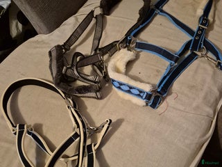 Övrig Hästutrustning hästutrustning till salu i Nybro - Annons 4