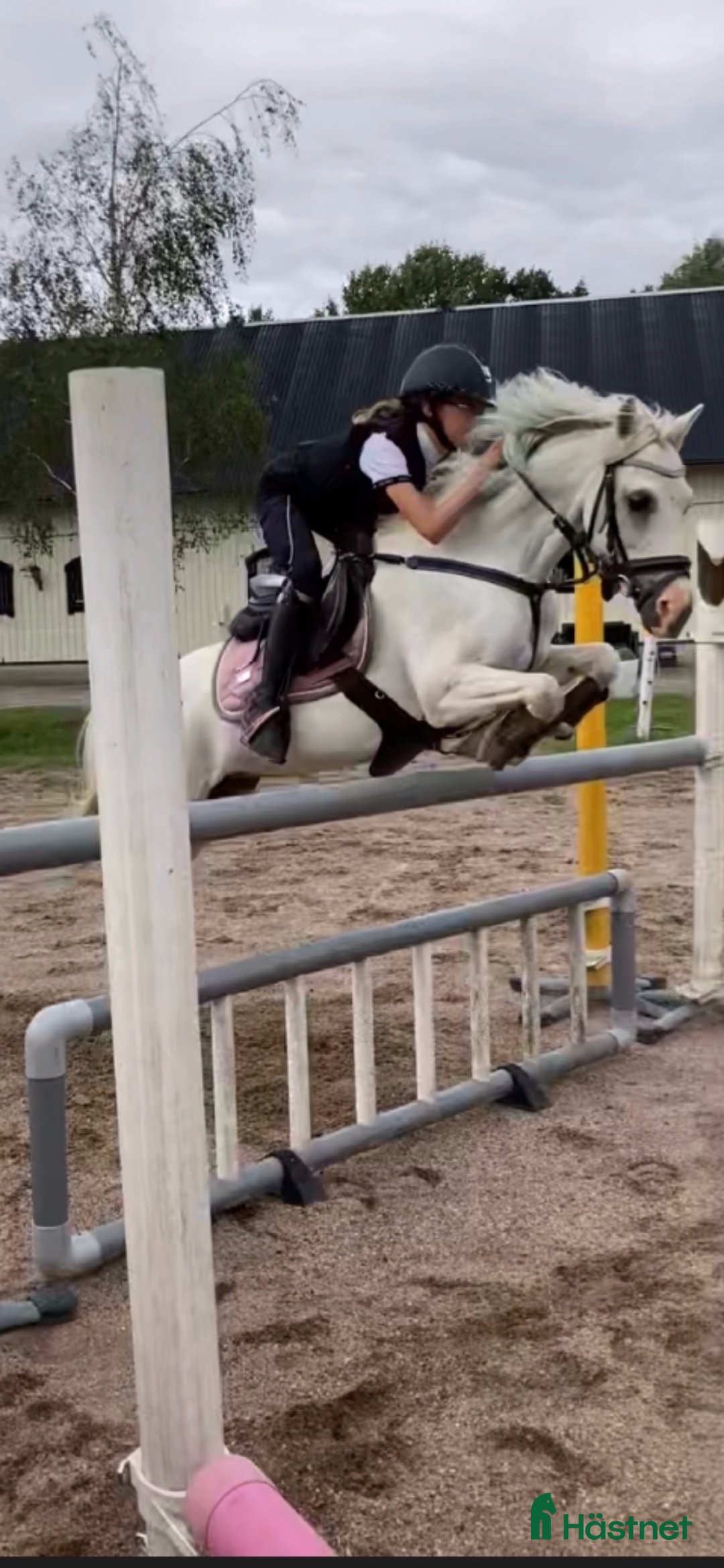 Allround hästar till salu: Allsidig ponny  i Lerum - Annons 3