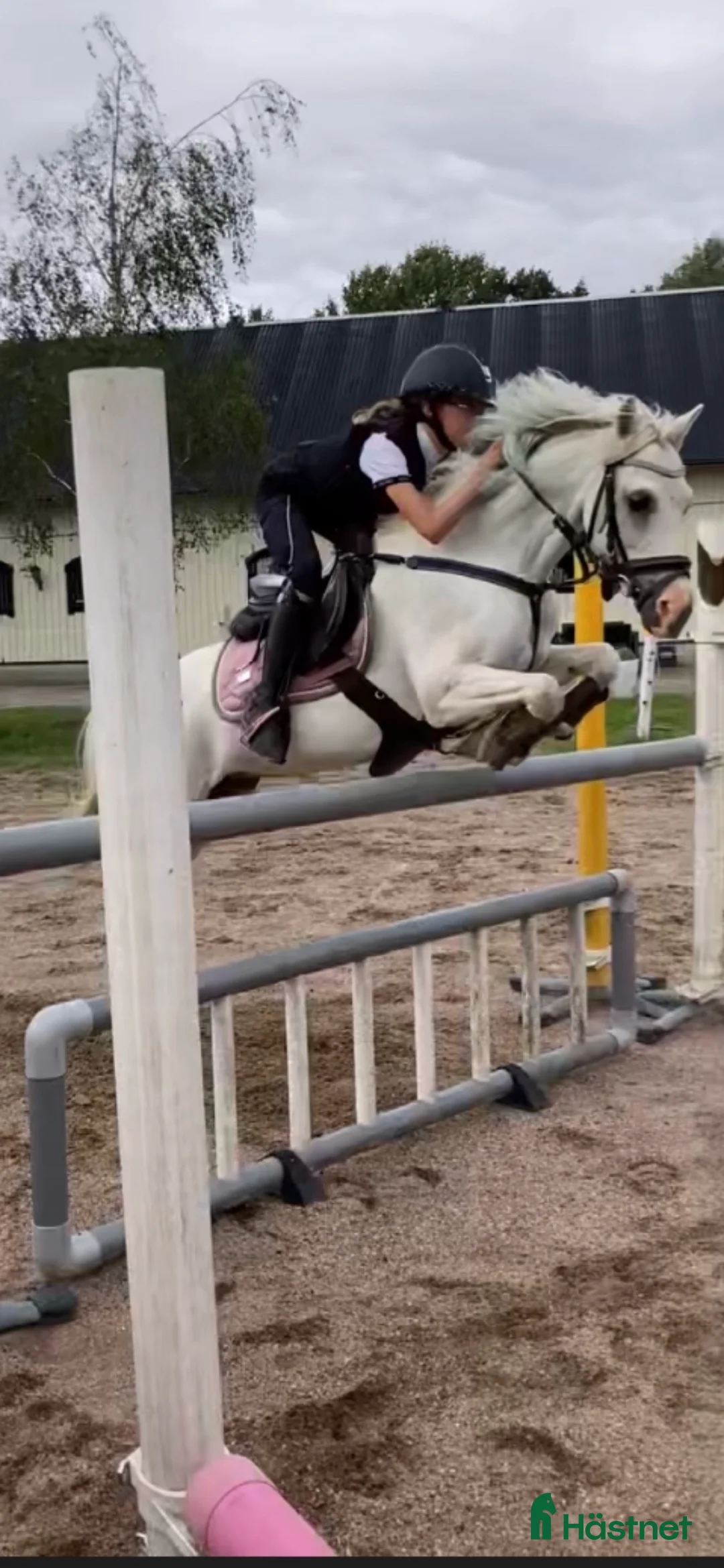 Allround hästar till salu: Allsidig ponny  i Lerum - Annons 3