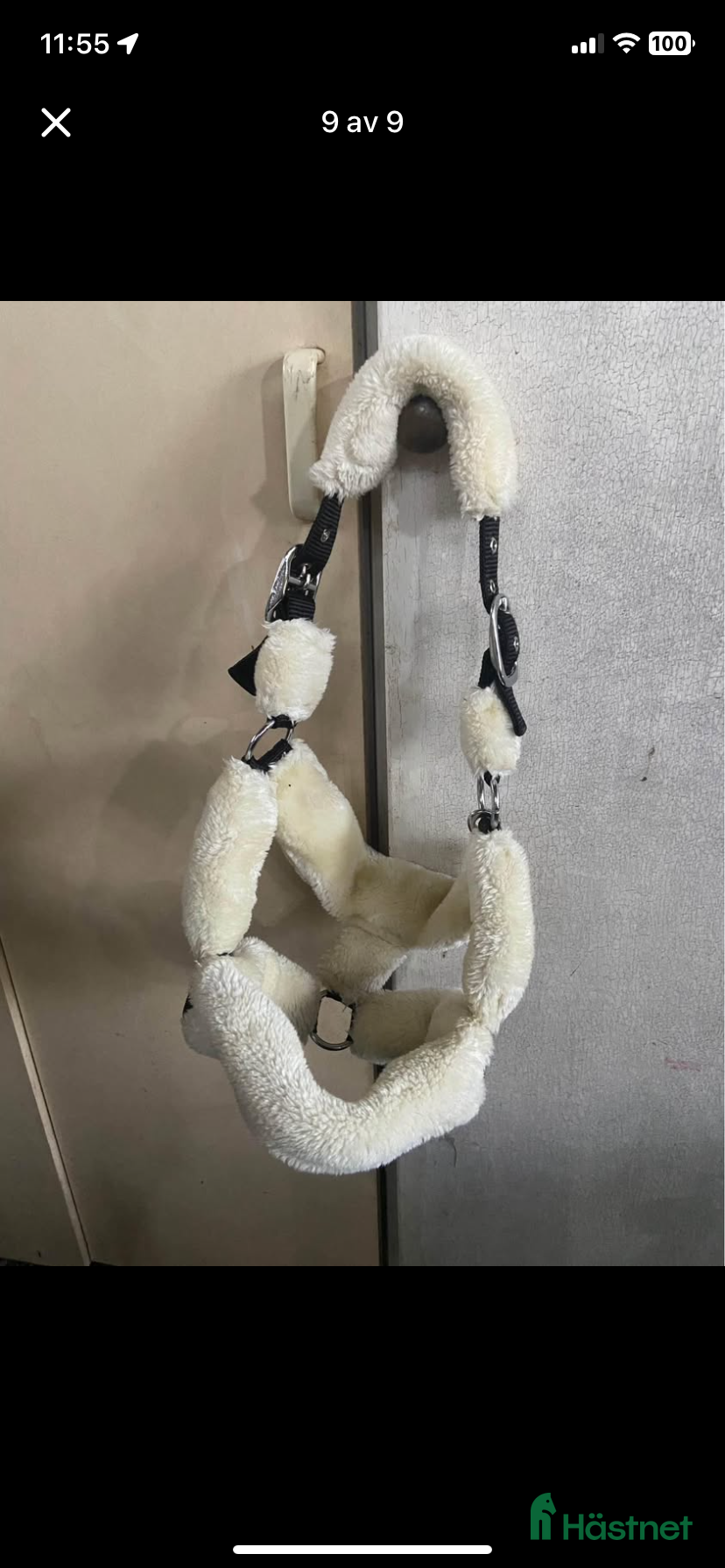 Övrig Hästutrustning hästutrustning Grimmor - Annons 1