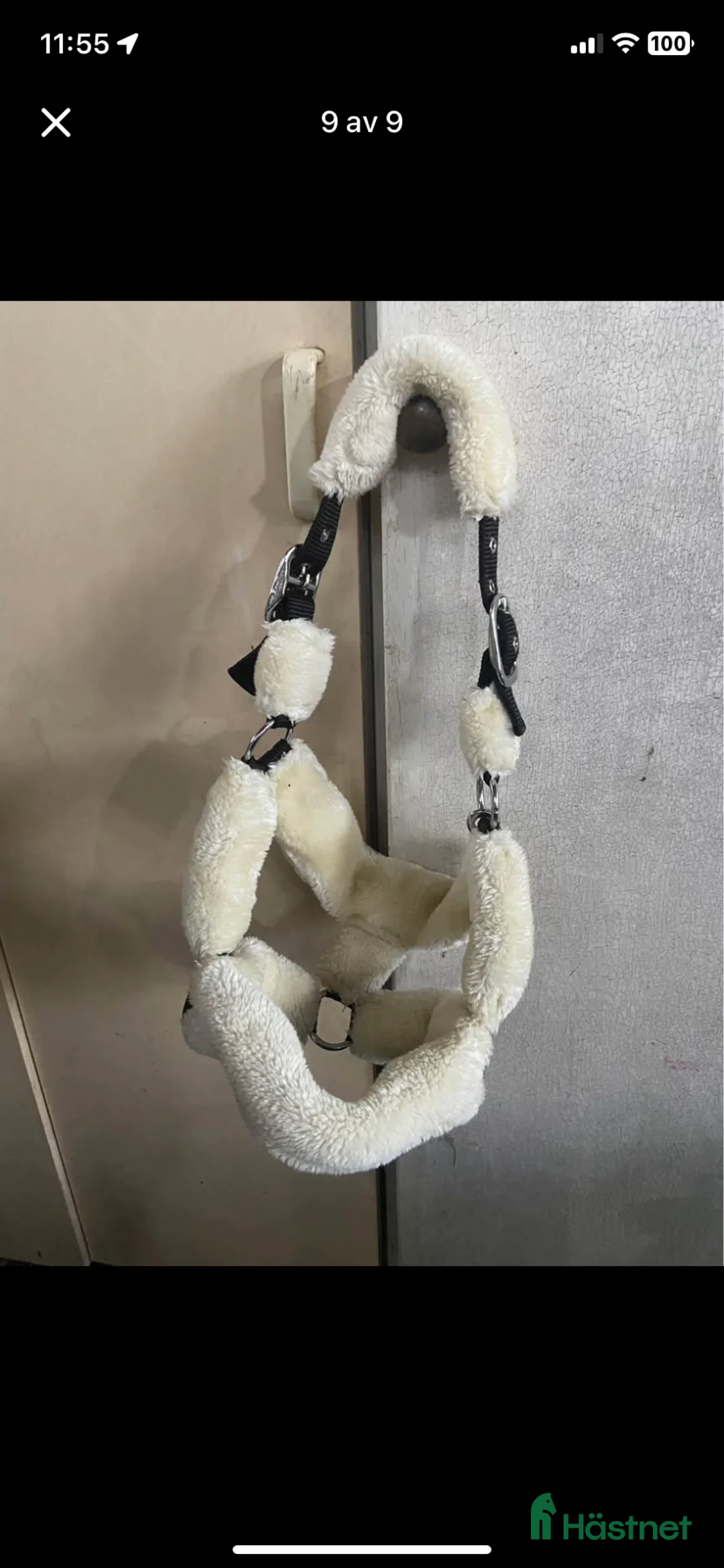 Övrig Hästutrustning hästutrustning till salu: Grimmor i Eskilstuna - Annons 1