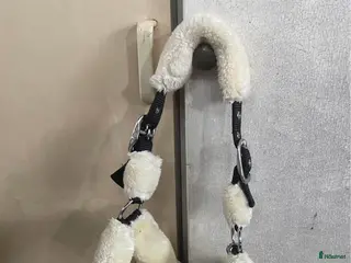 Övrig Hästutrustning hästutrustning Grimmor - Annons 1